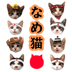 [LINEスタンプ] 令和なめ猫スタンプ BIGスタンプ