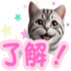[LINEスタンプ] アメリカンショートヘアスタンププラス