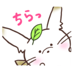 [LINEスタンプ] 白キツネの白助スタンプ