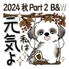 [LINEスタンプ] B＆W シーズー犬【秋・Part 2】2024