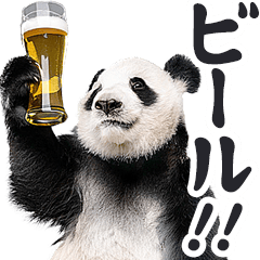 [LINEスタンプ] 酒ビール！リアルなパンダミーム（日常）