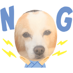 [LINEスタンプ] 犬違いますわんこです 0