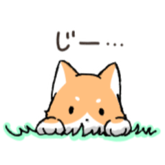 [LINEスタンプ] マロ眉のチャタロー