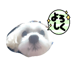 [LINEスタンプ] 犬ミッキーのスタンプ