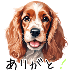 [LINEスタンプ] コッカースパニエルグラフィック