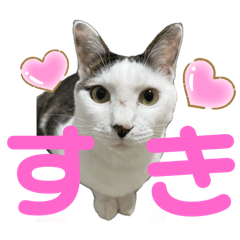 [LINEスタンプ] リンタロスァン第4弾