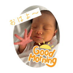 [LINEスタンプ] のあたん0913