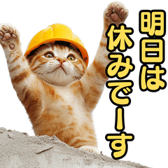 [LINEスタンプ] リアル現場ネコ。