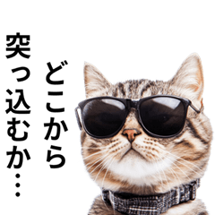 [LINEスタンプ] かわいい猫のリアルな毒舌・煽り3の画像（メイン）