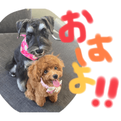 [LINEスタンプ] Ruru♡Rara