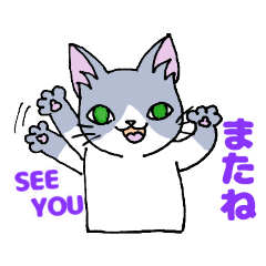 [LINEスタンプ] ほうせんか猫の部屋 よく使えるスタンプ