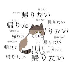 [LINEスタンプ] 五島列島目つきが悪い猫