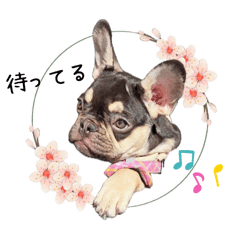 [LINEスタンプ] ★かわいいうちの子スタンプNo.3