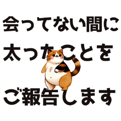 [LINEスタンプ] 会ってない間に○○ことをご報告します