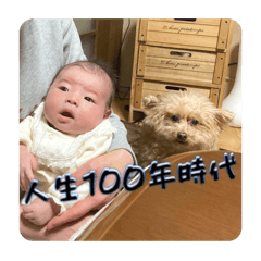 [LINEスタンプ] 人生百年時代