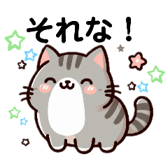 [LINEスタンプ] ねことこねこと日常と