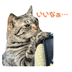 [LINEスタンプ] 天とほののスタンプ3