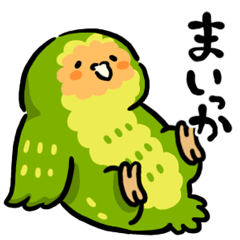 [LINEスタンプ] カカポ32羽