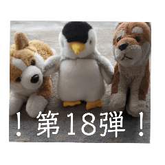 [LINEスタンプ] 第18弾！犬とペンギンのスタンプ！