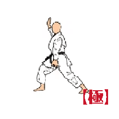 [LINEスタンプ] MOVING  KARATE  KATA  【極】