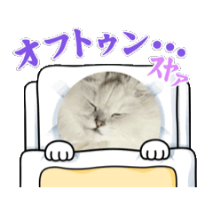 [LINEスタンプ] 動くモフきなこ