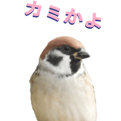 [LINEスタンプ] ほめるスズメ5-BIG