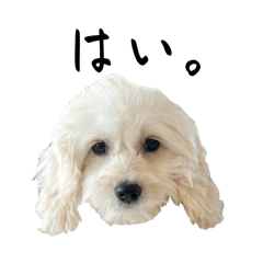 [LINEスタンプ] はるのつむじ その2