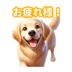 [LINEスタンプ] とにかくかわいい ゴールデンレトリーバー