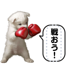 [LINEスタンプ] ワンちゃんで好きなメッセージを送ろう！