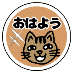 [LINEスタンプ] 陽気なネコいっぱい♪【あいさつシール風】