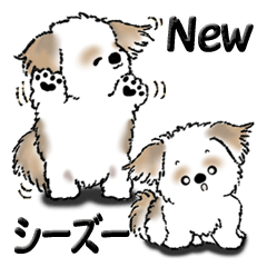 [LINEスタンプ] 新・シーズー犬【いつもの言葉】