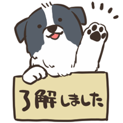 [LINEスタンプ] 毎日使えるボーダーコリーの子犬スタンプ