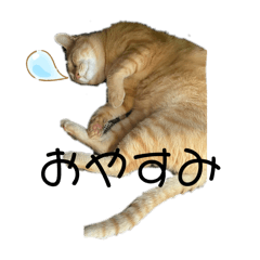 [LINEスタンプ] ブッチャ丸
