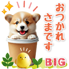 [LINEスタンプ] [BIG]コーギーのきづかい敬語