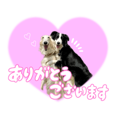 [LINEスタンプ] ジュノずんちのスタンプ