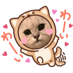 [LINEスタンプ] きなこandたんたん