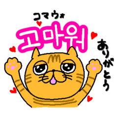 [LINEスタンプ] ネコのきなこスタンプ（ハングル）