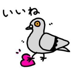 [LINEスタンプ] 毎日の鳩ちゃんズ