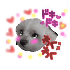 [LINEスタンプ] 犬ミッキーのスタンプ2