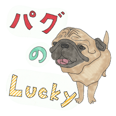 [LINEスタンプ] 【日常編】パグのLucky