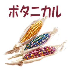 [LINEスタンプ] 彩り豊かな秋の植物（ボタニカルアート）の画像（メイン）