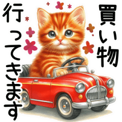 [LINEスタンプ] 毎日使える茶トラねこの日常