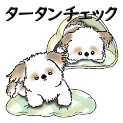 [LINEスタンプ] 新・シーズー犬【タータンチェック好き】