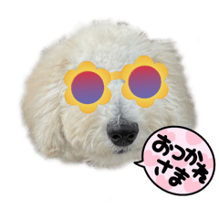 [LINEスタンプ] くっこむぱん