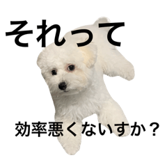 [LINEスタンプ] ゆらちゃんのスタンプ②（煽り多め）