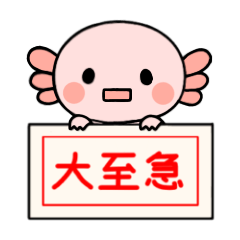 [LINEスタンプ] 仕事で使えるウーパールーパースタンプ