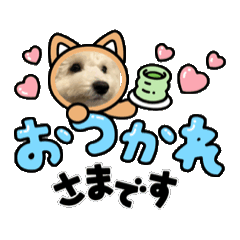 [LINEスタンプ] だいすきサンちゃんスタンプ