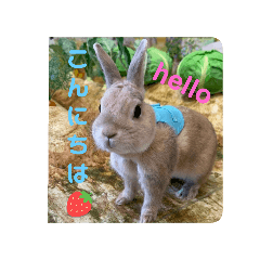 [LINEスタンプ] チーぼうスタンプ