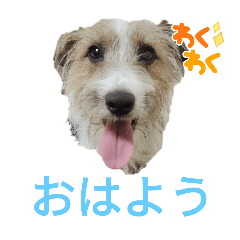 [LINEスタンプ] ジャックのマイクの画像（メイン）