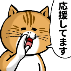 [LINEスタンプ] どうぶつが大好き01_pop_ver3敬語